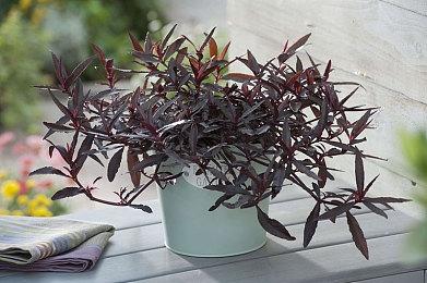 解谜冒险游戏《罗科岛:结束痛苦的铃声》现于Steam平台发售 支持中文